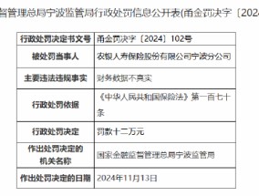 农银人寿宁波分公司因财务数据不真实被罚12万元