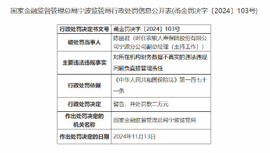 农银人寿宁波分公司因财务数据不真实被罚12万元